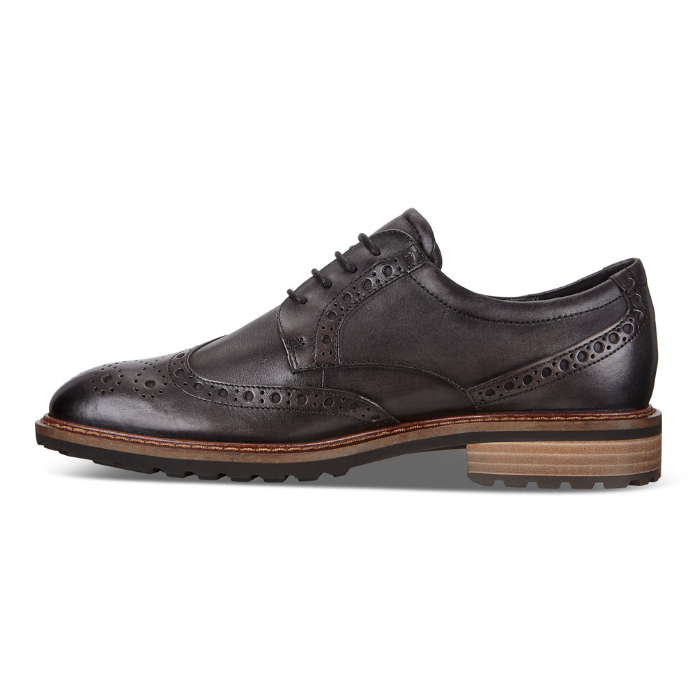 Zapatos De Vestir Hombre - ECCO Vitrus I Wing Tip Tie - Marrom - QTC421693